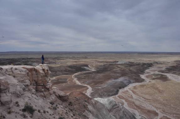 Admirando a belíssima paisagem do Petrified Forest National Park, no Arizona - Estados Unidos